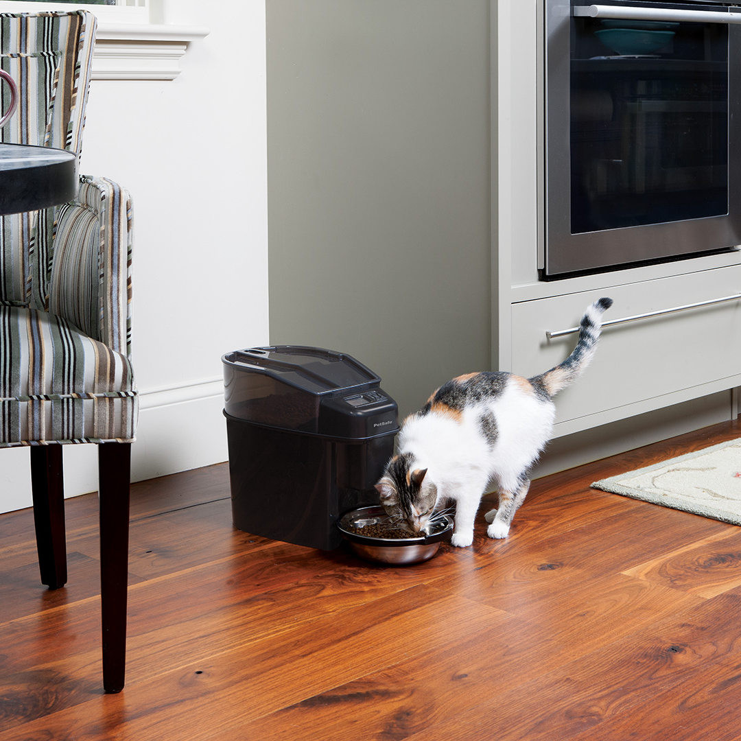 27 Unique Alberta Hardwood Flooring Reviews 2024 free download alberta hardwood flooring reviews of healthy pet simply feedac284c2a2 12 meal automatic pet feeder by petsafe intended for healthy pet simply feedac284c2a2 12 meal automatic pet feeder by pe