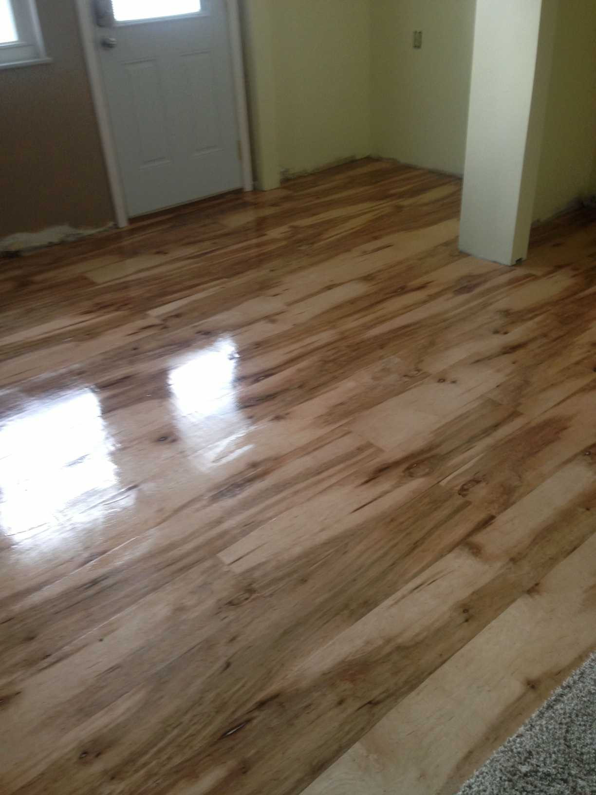 29 Nice Bamboo Hardwood Flooring Pros and Cons 2024 free download bamboo hardwood flooring pros and cons of plywood floors pros and cons 332ndf org inside the final finish of the plywood floor love only cost 100 00