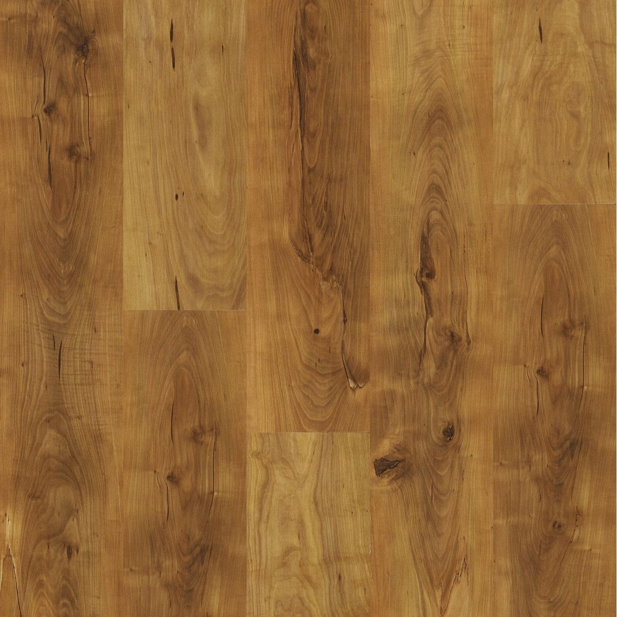 best vacuum for pet hair on hardwood floors of 17 fresh hardwood laminate flooring pictures dizpos com within hardwood laminate flooring inspirational shaw floors natural values ii 6 5mm pine laminate in summerville collection