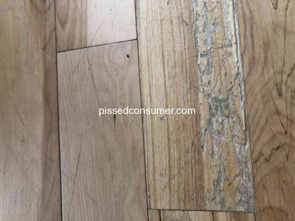 26 attractive Buckeye Hardwood Floor Supply 2023 free download buckeye hardwood floor supply of 85 rite rug reviews and complaints pissed consumer throughout rite rug terrible ethics