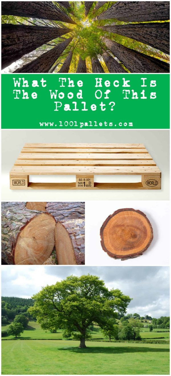 can you have two different types of hardwood floors of wood types what the heck pallets are made out of • 1001 pallets intended for learn how to identify the different types of pallet wood