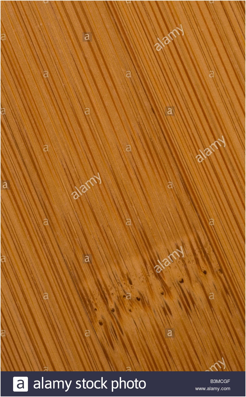 17 Fabulous Carbonized Bamboo Hardwood Flooring 2024 free download carbonized bamboo hardwood flooring of is bamboo flooring any good awesome carbonized bamboo flooring acai with regard to is bamboo flooring any good awesome carbonized bamboo flooring acai 
