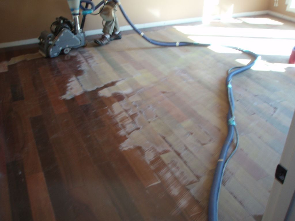 11 Unique Cost to Install and Finish Hardwood Floors 2024 free download cost to install and finish hardwood floors of wood floor installation cost will refinishingod floors pet stains intended for wood floor installation cost will refinishingod floors pet stains