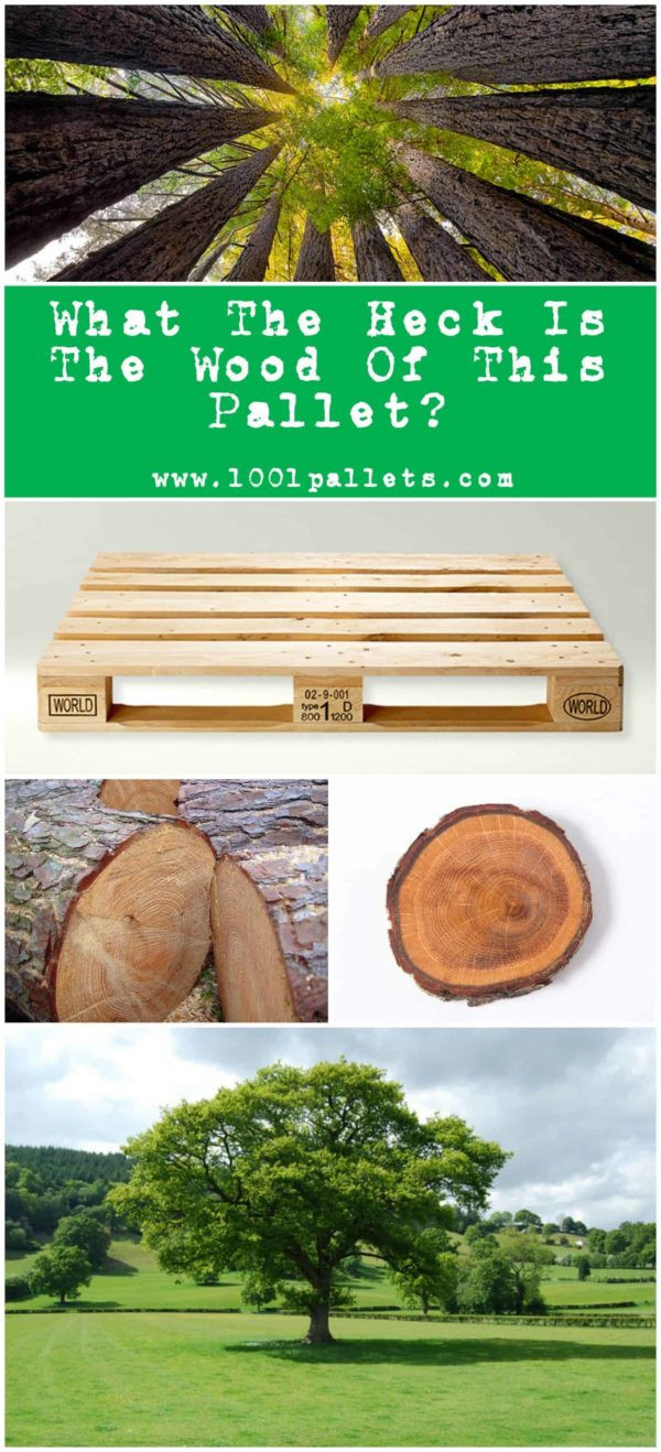 13 Cute Different Types Of Hardwood Floors 2024 free download different types of hardwood floors of wood types what the heck pallets are made out of e280a2 1001 pallets within learn how to identify the different types of pallet wood