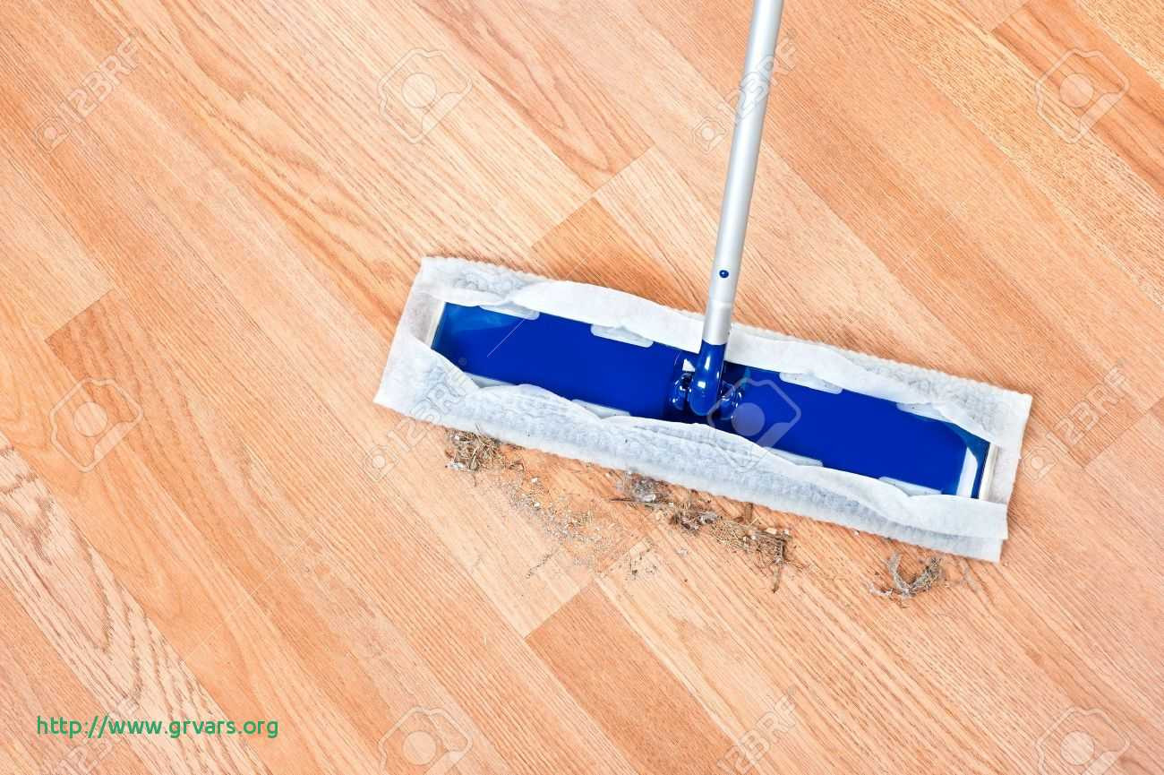 27 Famous Electric Mops for Hardwood Floors 2024 free download electric mops for hardwood floors of 19 meilleur de what is the best mop for wooden floors ideas blog pertaining to image of a modern floor dusting mop being used to clean hair and dirt on a