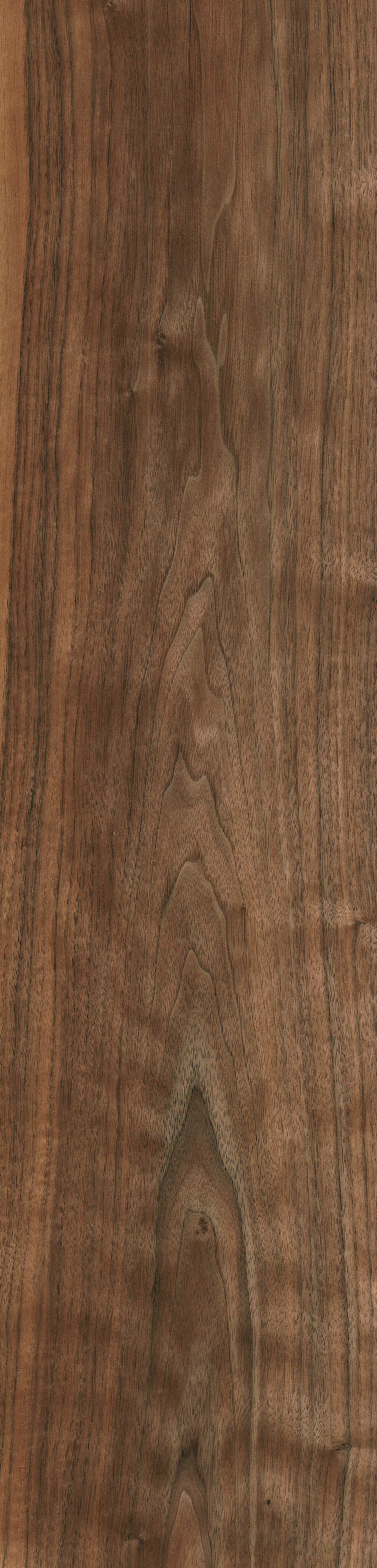 elm hardwood flooring hardness of black walnut the wood database lumber identification hardwood intended for black walnut 35″ x 8 5″