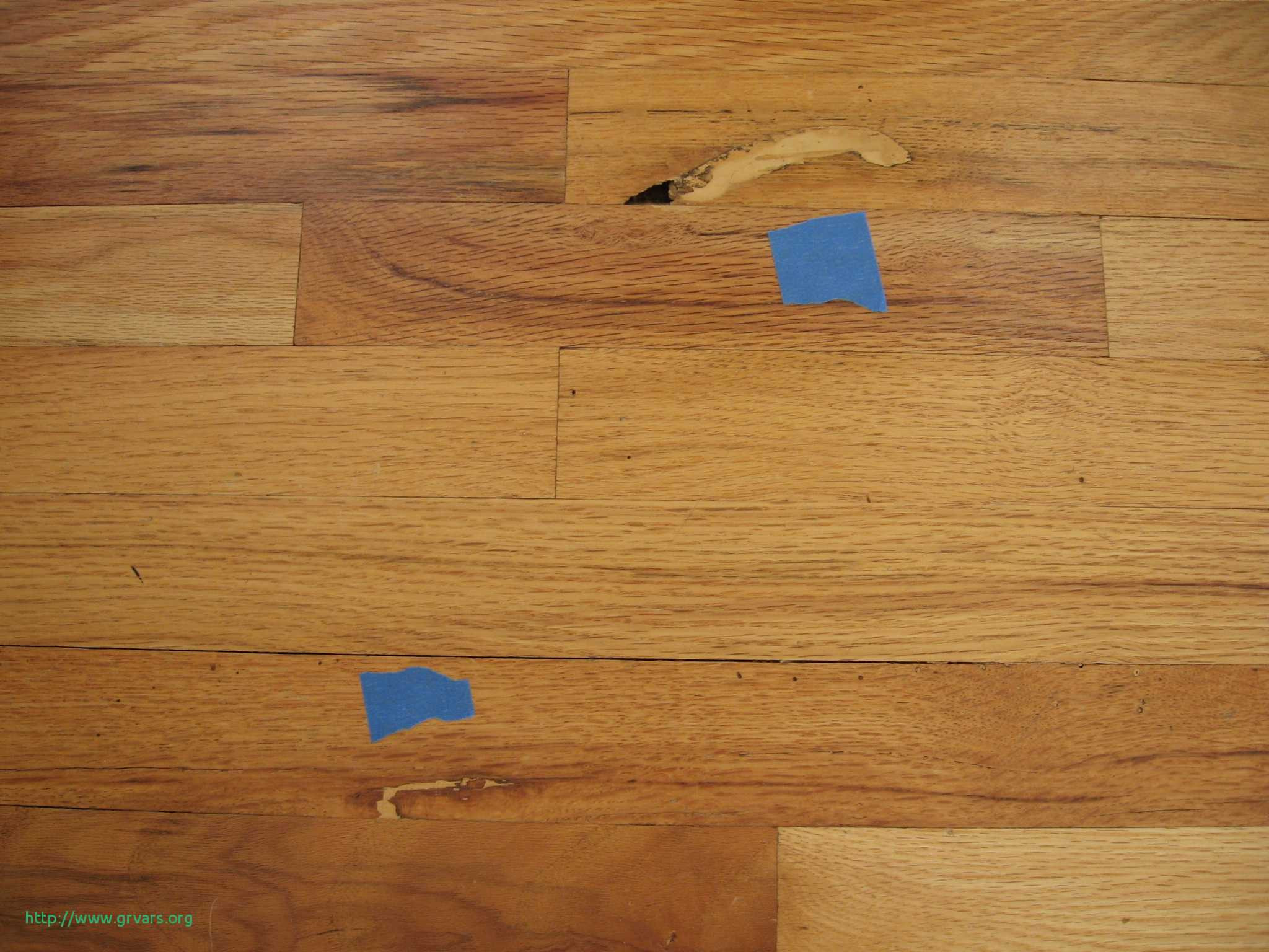 glue down hardwood flooring on plywood of 23 nouveau how to remove glued down wood flooring on concrete pertaining to how to remove glued down wood flooring on concrete alagant wood floor techniques 101