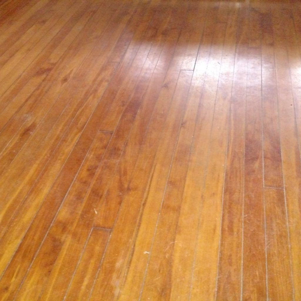 21 Spectacular Hardwood Floor Care and Cleaning 2024 free download hardwood floor care and cleaning of human urine on wood floors http dreamhomesbyrob com pinterest inside human urine on wood floors wood floorings are the healthy alternative they need fewer