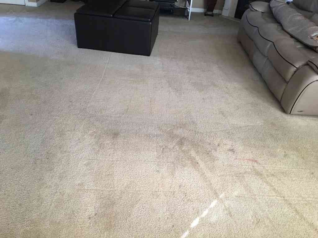 17 attractive Hardwood Floor Cleaning atlanta 2024 free download hardwood floor cleaning atlanta of 111 top rated we clean carpets reviews and complaints page 7 throughout we clean carpets carpet cleaning service review from stockbridge georgia