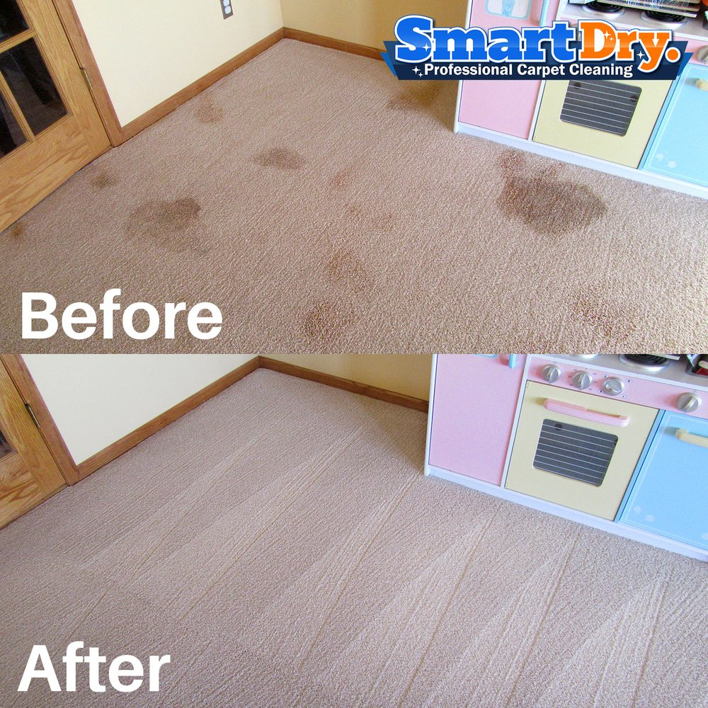 12 Lovely Hardwood Floor Cleaning Los Angeles 2024 free download hardwood floor cleaning los angeles of smart dry carpet cleaning 91 photos carpet cleaning 8920 with regard to smart dry carpet cleaning 91 photos carpet cleaning 8920 activity rd san diego 