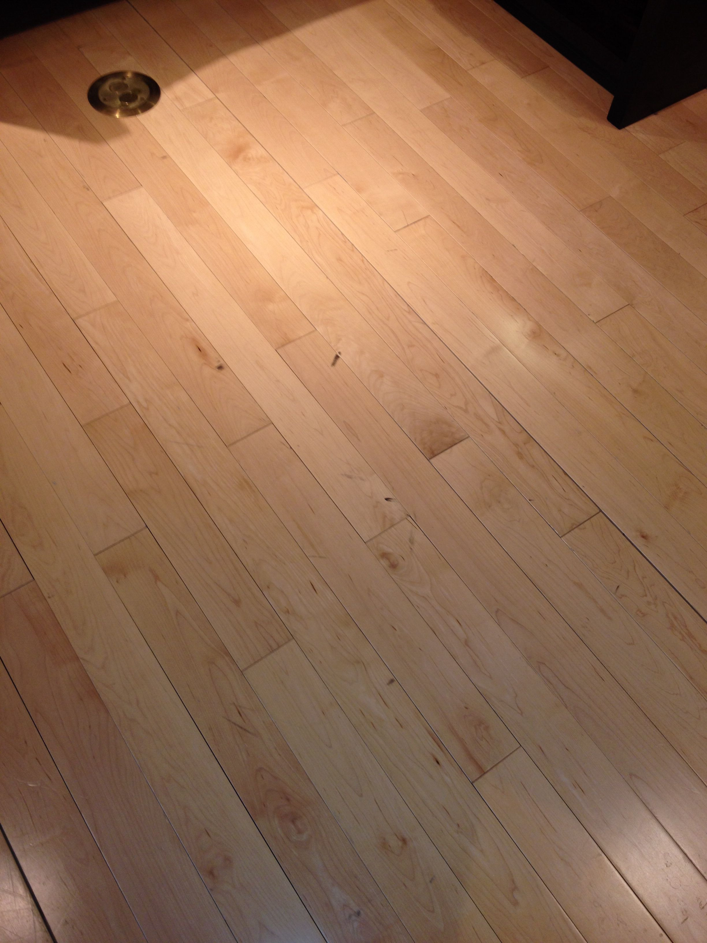 hardwood floor finishes colors of maple wood floors retail design sketch rendering pinterest regarding maple wood floors