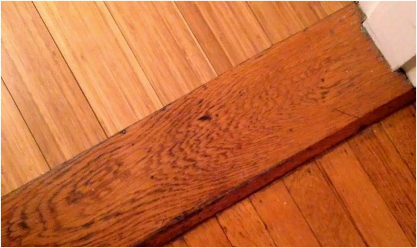 hardwood floor maintenance of how to laminate wood flooring unique pin by erik chudy on egger in how to laminate wood flooring luxury homemade hardwood floor cleaner fresh floor a close up shot