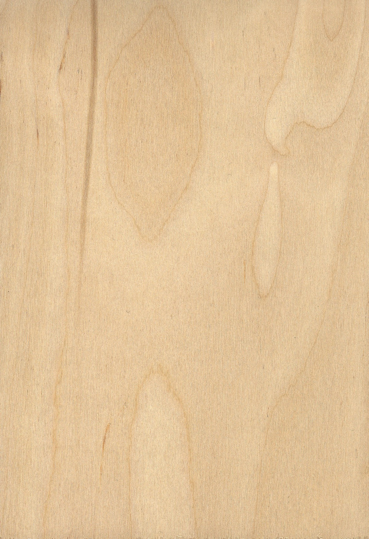 22 Cute Hardwood Floor Paper 2024 free download hardwood floor paper of free images sand texture floor wall pattern brown tile inside nature board wood grain texture floor