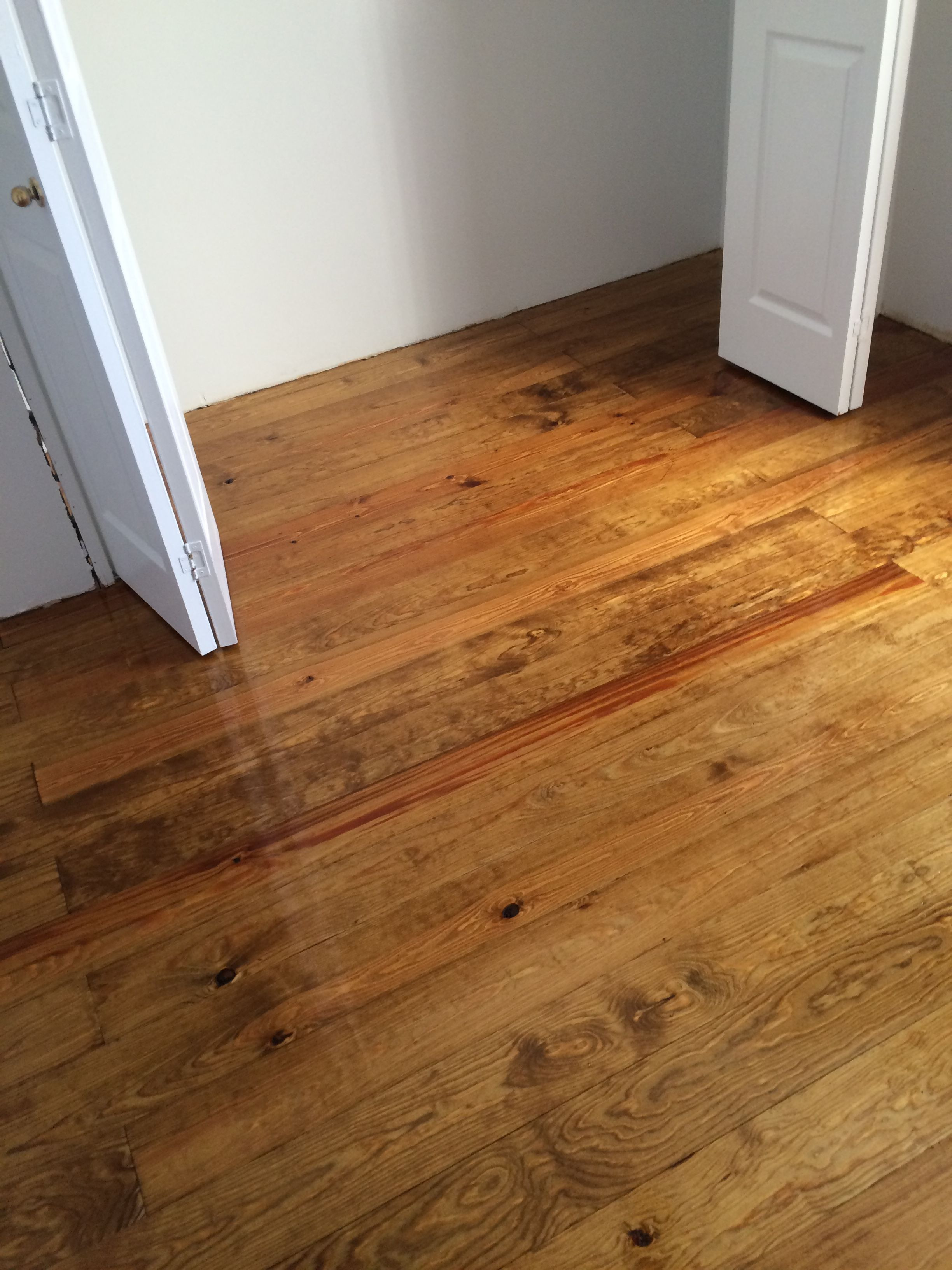 14 Amazing Hardwood Floor Refinishing 2 or 3 Coats 2024 free download hardwood floor refinishing 2 or 3 coats of compare to any finished floor get the specs names are confusing regarding compare to any finished floor get the specs names are confusing vintage r