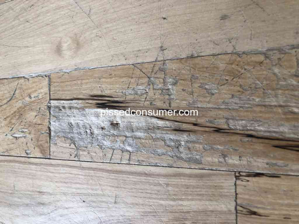 hardwood floor refinishing knoxville tn of 85 rite rug reviews and complaints pissed consumer inside rite rug dreadful