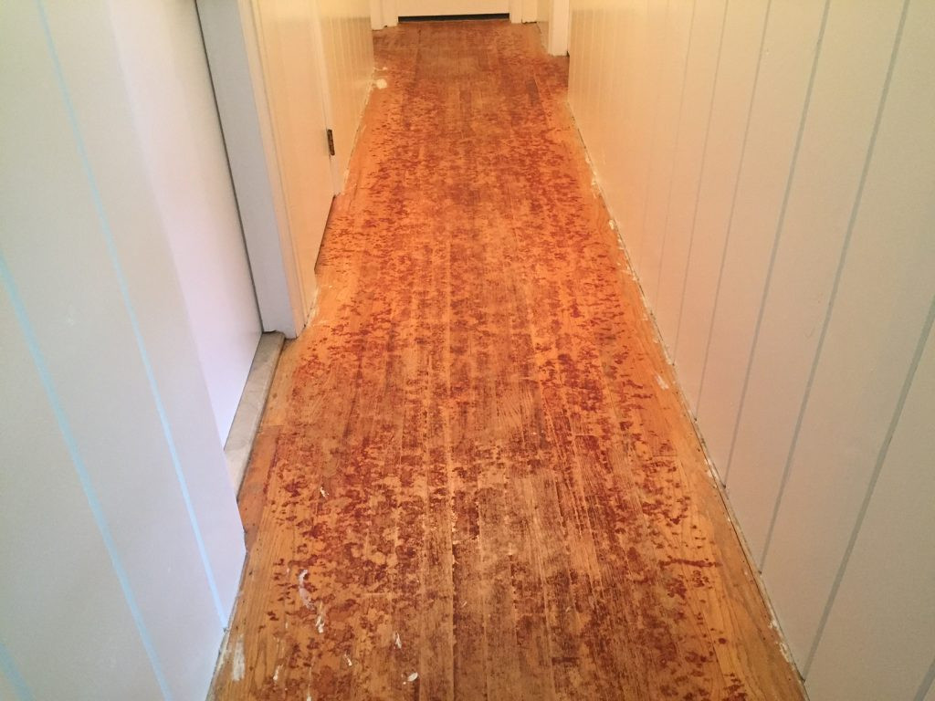 16 Unique Hardwood Floor Refinishing Morristown Nj 2024 free download hardwood floor refinishing morristown nj of refinishing floors that were under carpet for 30 years monks regarding after removing the carpet