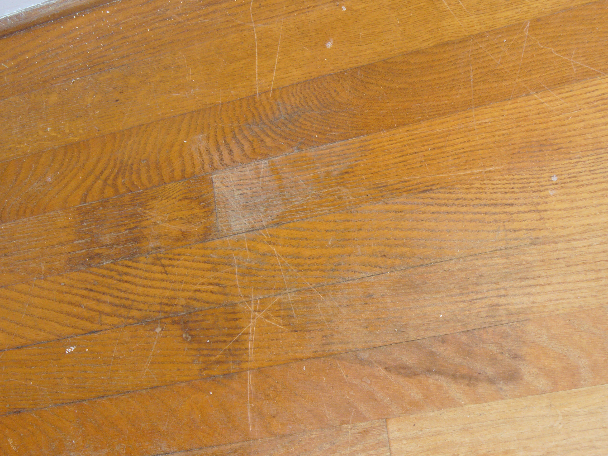 10 Popular Hardwood Floor Refinishing Ottawa Ontario 2024 free download hardwood floor refinishing ottawa ontario of how much does it cost to refinish a hardwood floor yourself wikizie co in what is sand free hardwood floor refinishing classic cleaning
