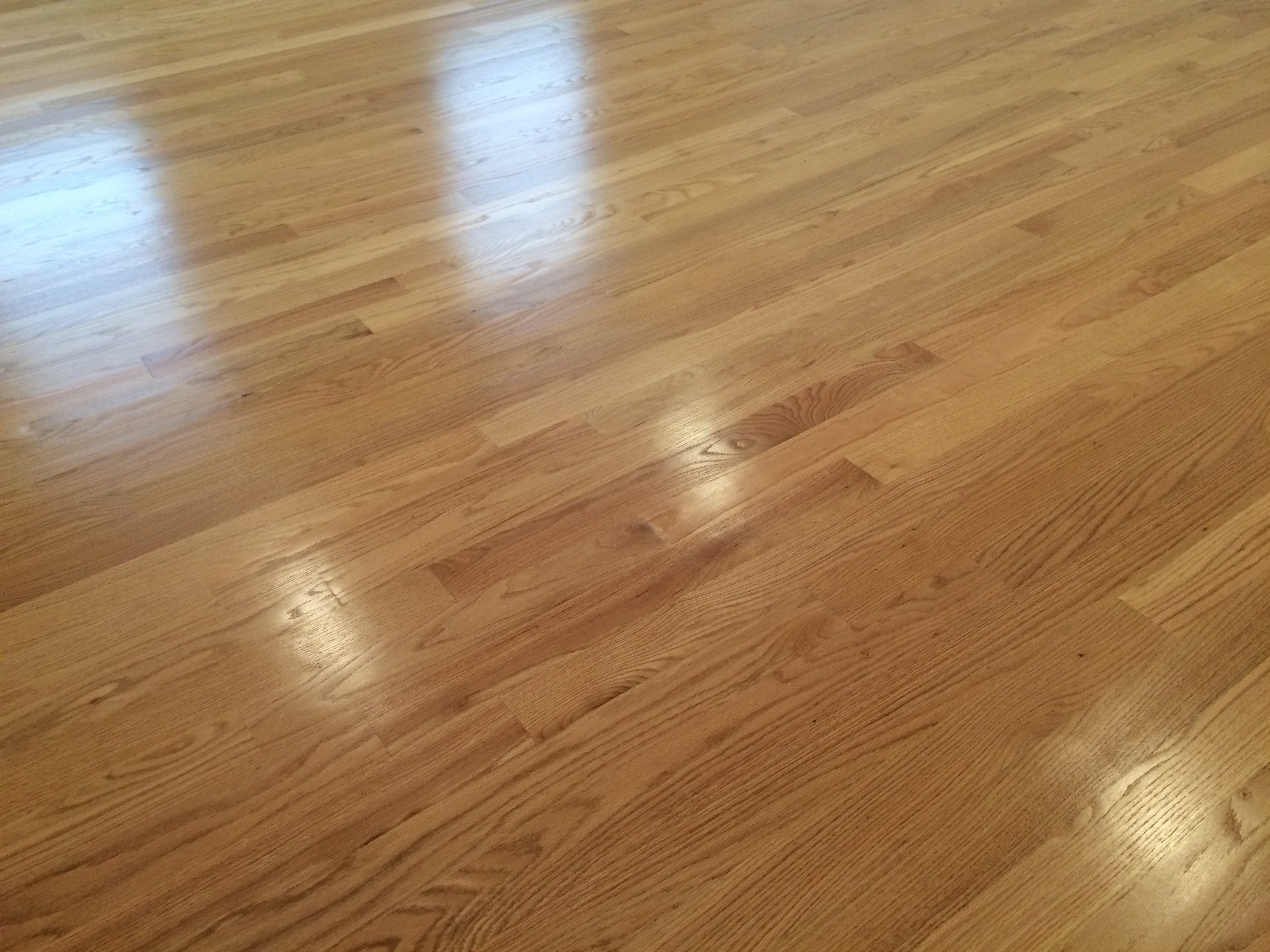 13 attractive Hardwood Floor Refinishing south Jersey 2024 free download hardwood floor refinishing south jersey of flooring portfolio gorsegner brothers in img 0845