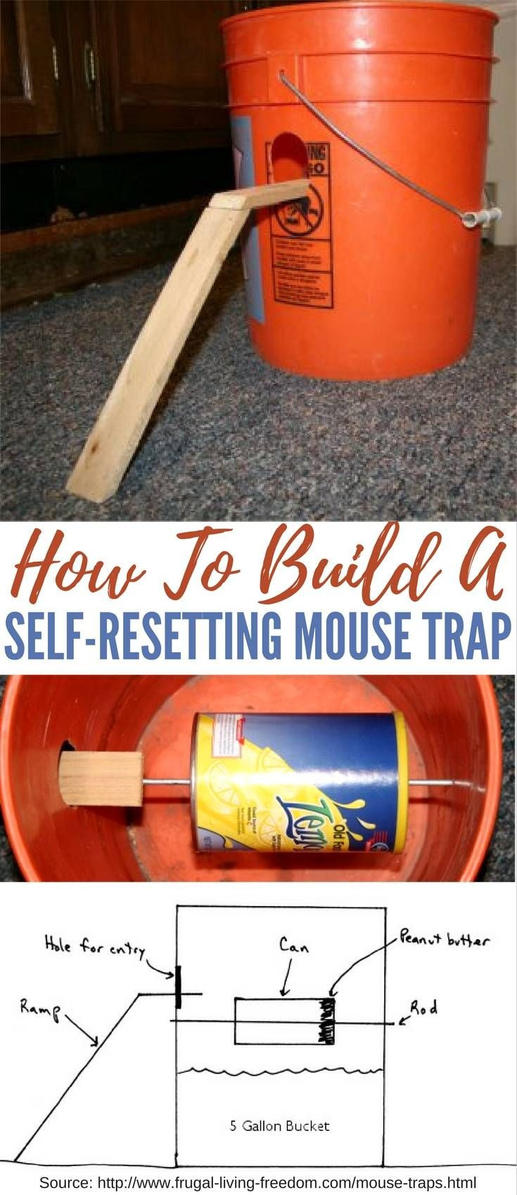 22 Cute Hardwood Floor Refinishing topeka Ks 2024 free download hardwood floor refinishing topeka ks of 461 best diy images on pinterest electric electrical outlets and inside how to build a self resetting mouse trap