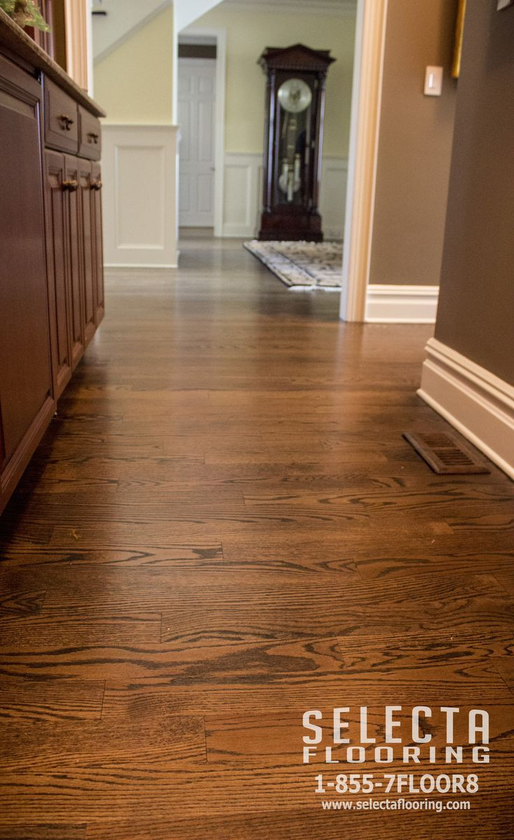 hardwood floor refinishing ventura ca of best 7 floors ideas on pinterest future house flooring and floors throughout pantry finished with duraseal in jacobean on red oak hardwood flooring