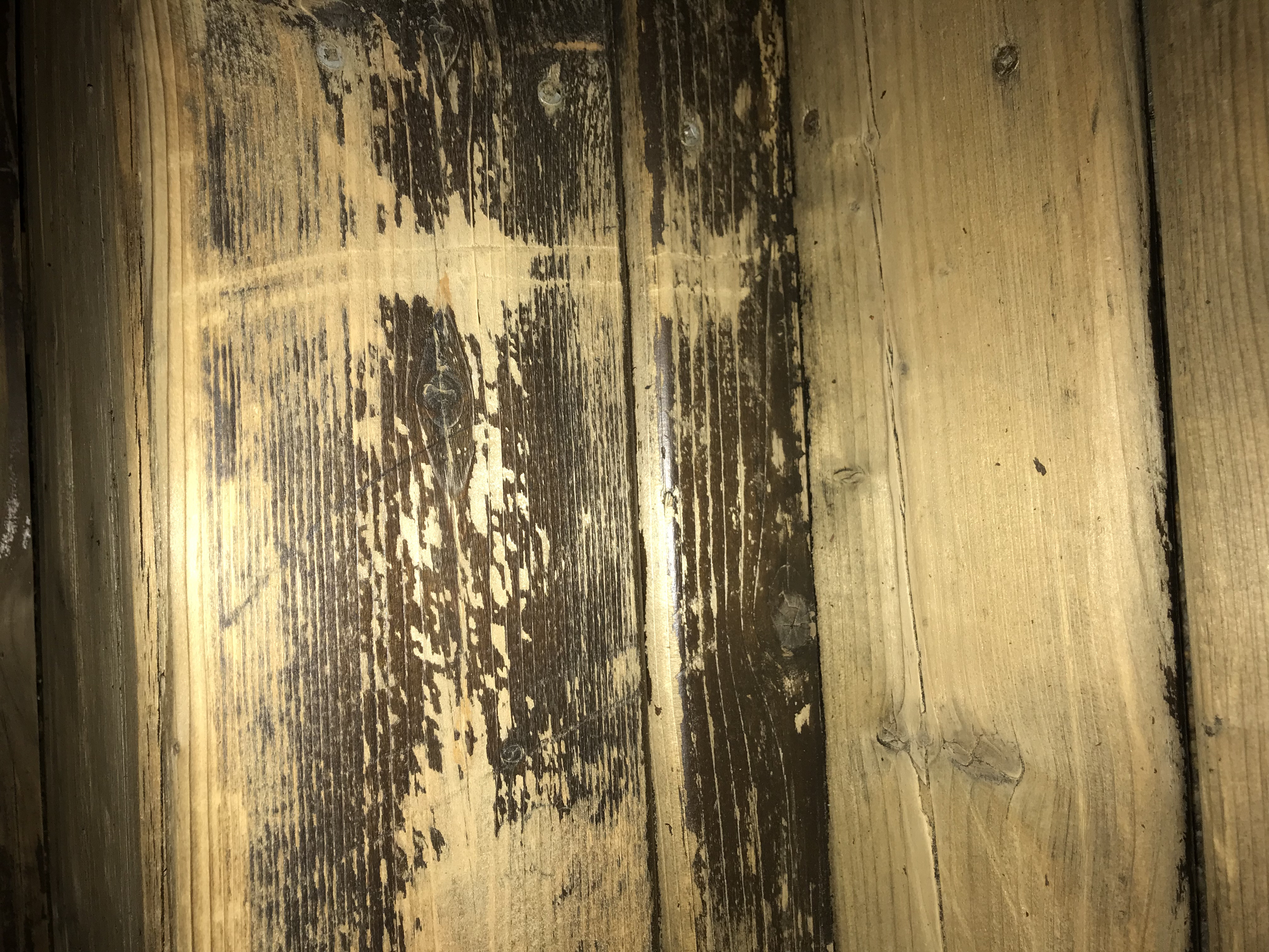 23 Cute Hardwood Floor Repair Milwaukee 2024 free download hardwood floor repair milwaukee of deck stripping removing an old deck stain best deck stain for 22b4c93e 057f 4f9d b8f8 491a4bb825b2