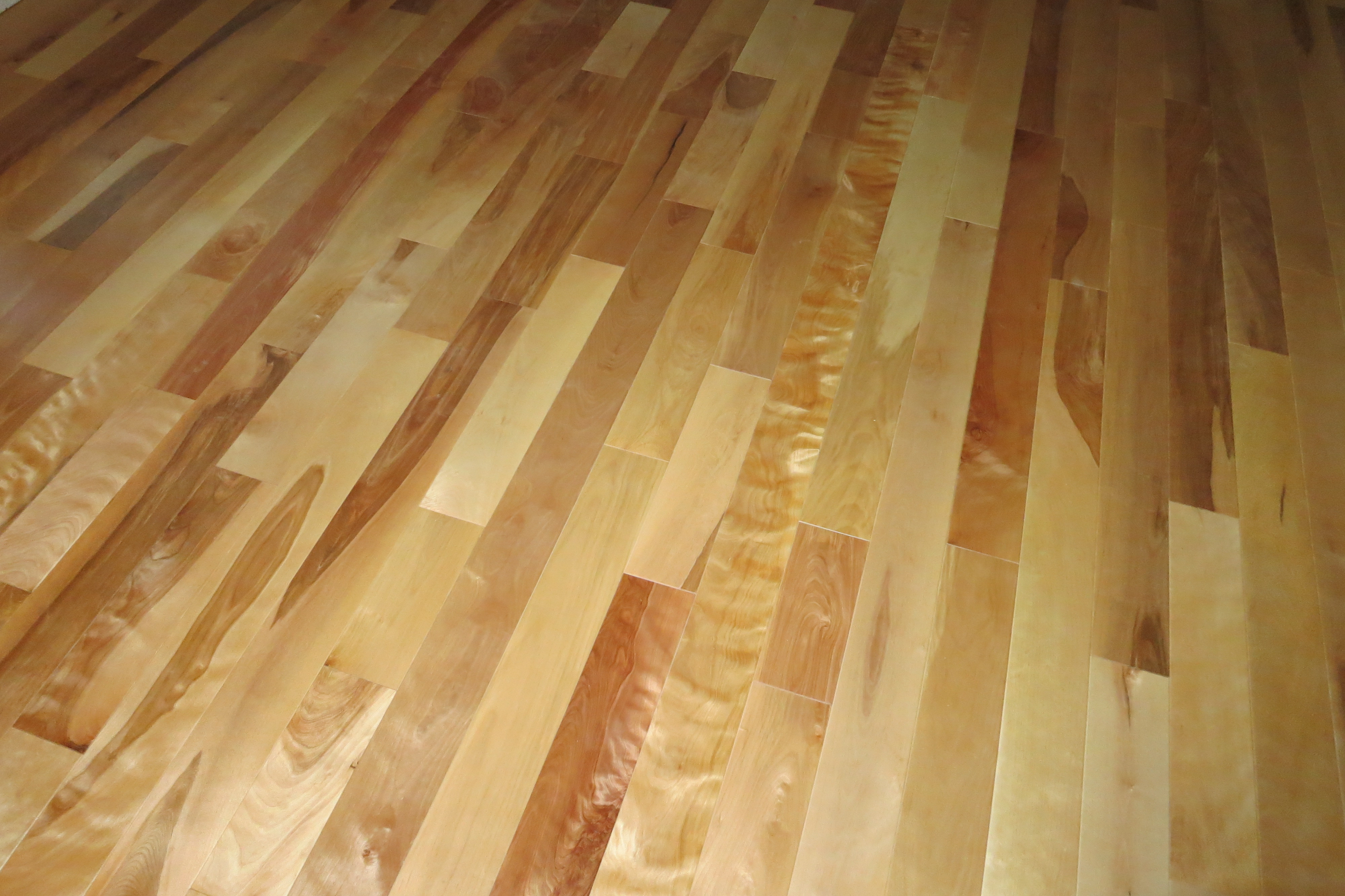 25 Fashionable Hardwood Floor Repair Wilmington Nc 2024 free download hardwood floor repair wilmington nc of imperial wood floors madison wi hardwood floors hardwood floor intended for home a