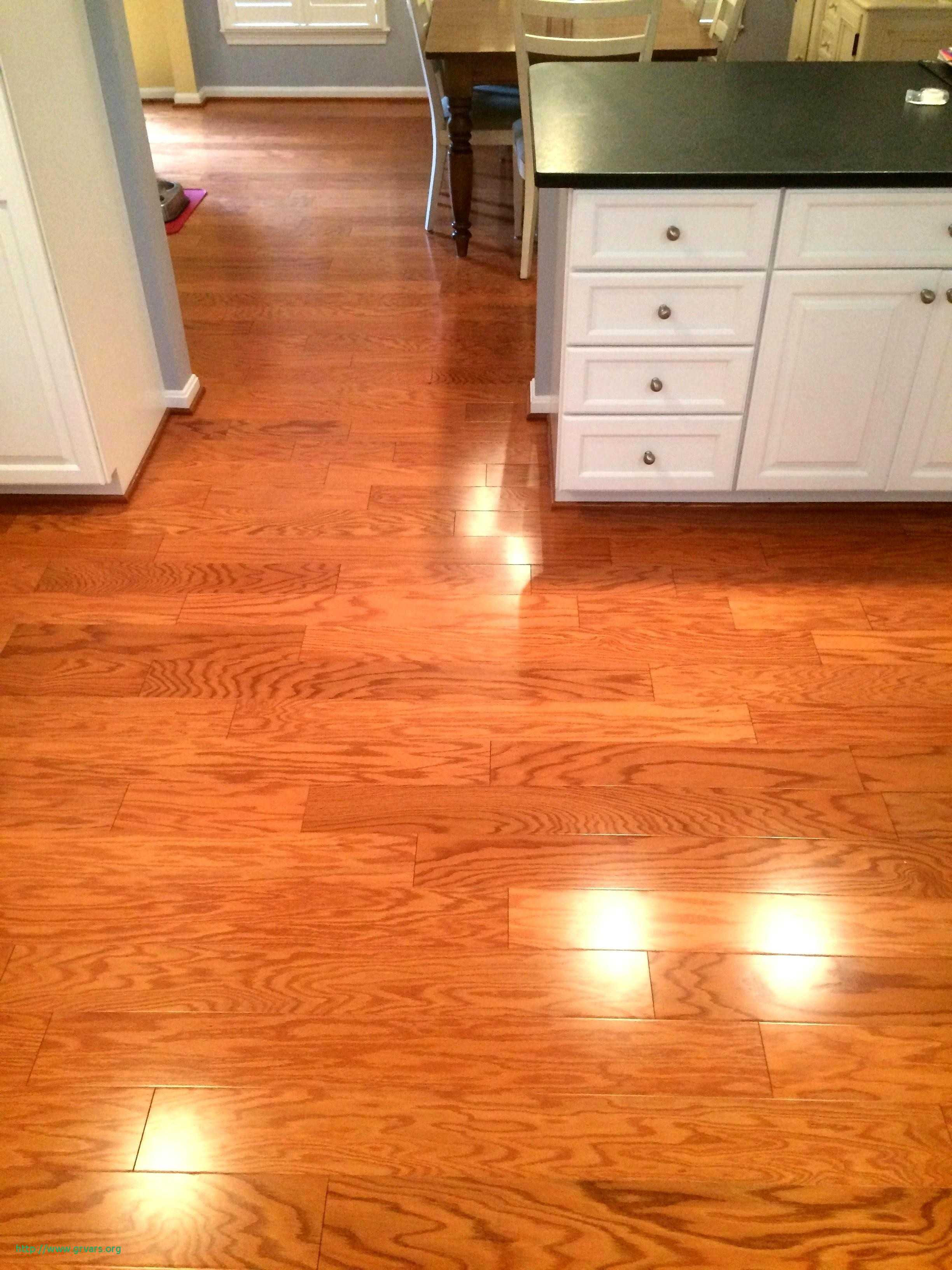 10 Recommended Hardwood Floor Stain Options 2024 free download hardwood floor stain options of 22 unique what is the best type of wood flooring for dogs ideas blog intended for hardwood flooring deals where to buy hardwood flooring inspirational 0d grac