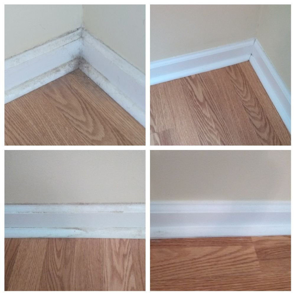 20 Ideal Hardwood Flooring Durham Region 2024 free download hardwood flooring durham region of dirt doctors cleaning service inc 10 photos home cleaning with regard to dirt doctors cleaning service inc 10 photos home cleaning durham nc phone number y