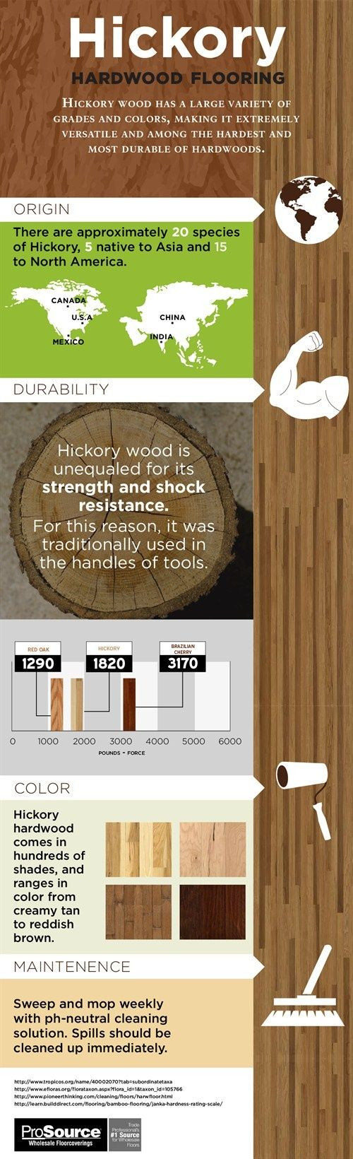16 Stylish Hardwood Flooring Facts 2024 free download hardwood flooring facts of the 14 best hardwood knowledge images on pinterest wood flooring with hickory hardwood flooring
