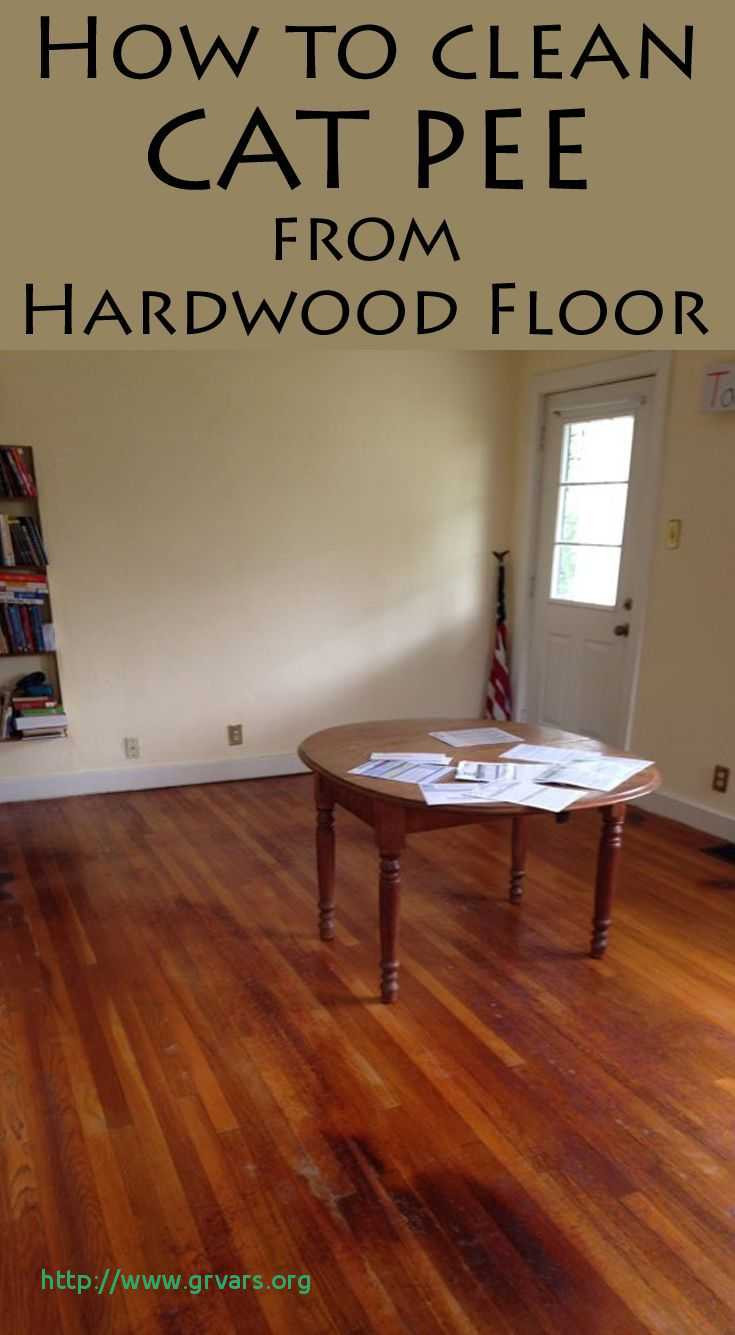 21 Elegant Hardwood Flooring for Pets 2024 free download hardwood flooring for pets of 20 impressionnant pet urine stains on hardwood floors how to remove for uncategorized urine stains hardwood floors marvelous how to clean cat from floor cleanin