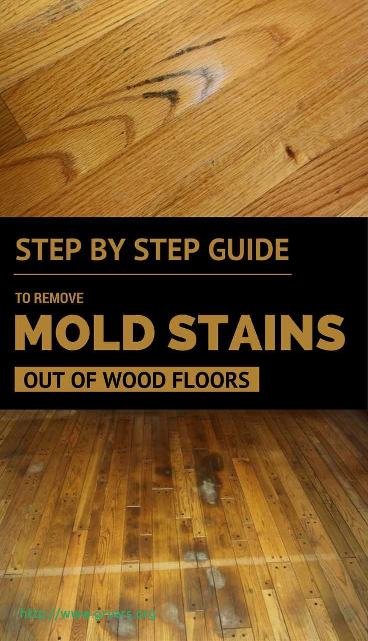 21 Elegant Hardwood Flooring for Pets 2024 free download hardwood flooring for pets of 20 impressionnant pet urine stains on hardwood floors how to remove within step by step guide to remove mold stains out wood floors