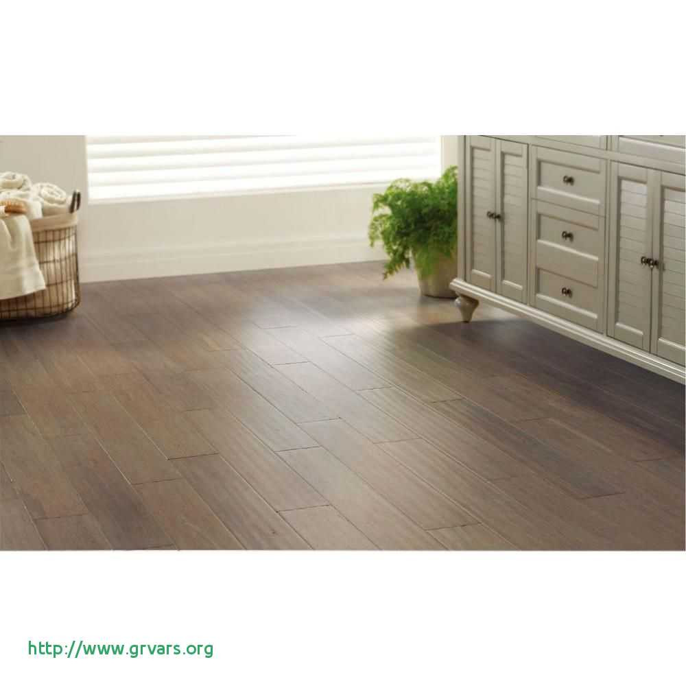 21 Elegant Hardwood Flooring for Pets 2024 free download hardwood flooring for pets of 22 unique what is the best type of wood flooring for dogs ideas blog with what is the best type of wood flooring for dogs meilleur de the 6 best cheap