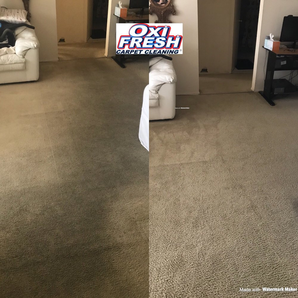 hardwood flooring lakewood nj of oxi fresh carpet cleaning 38 photos carpet cleaning howell nj throughout oxi fresh carpet cleaning 38 photos carpet cleaning howell nj phone number yelp