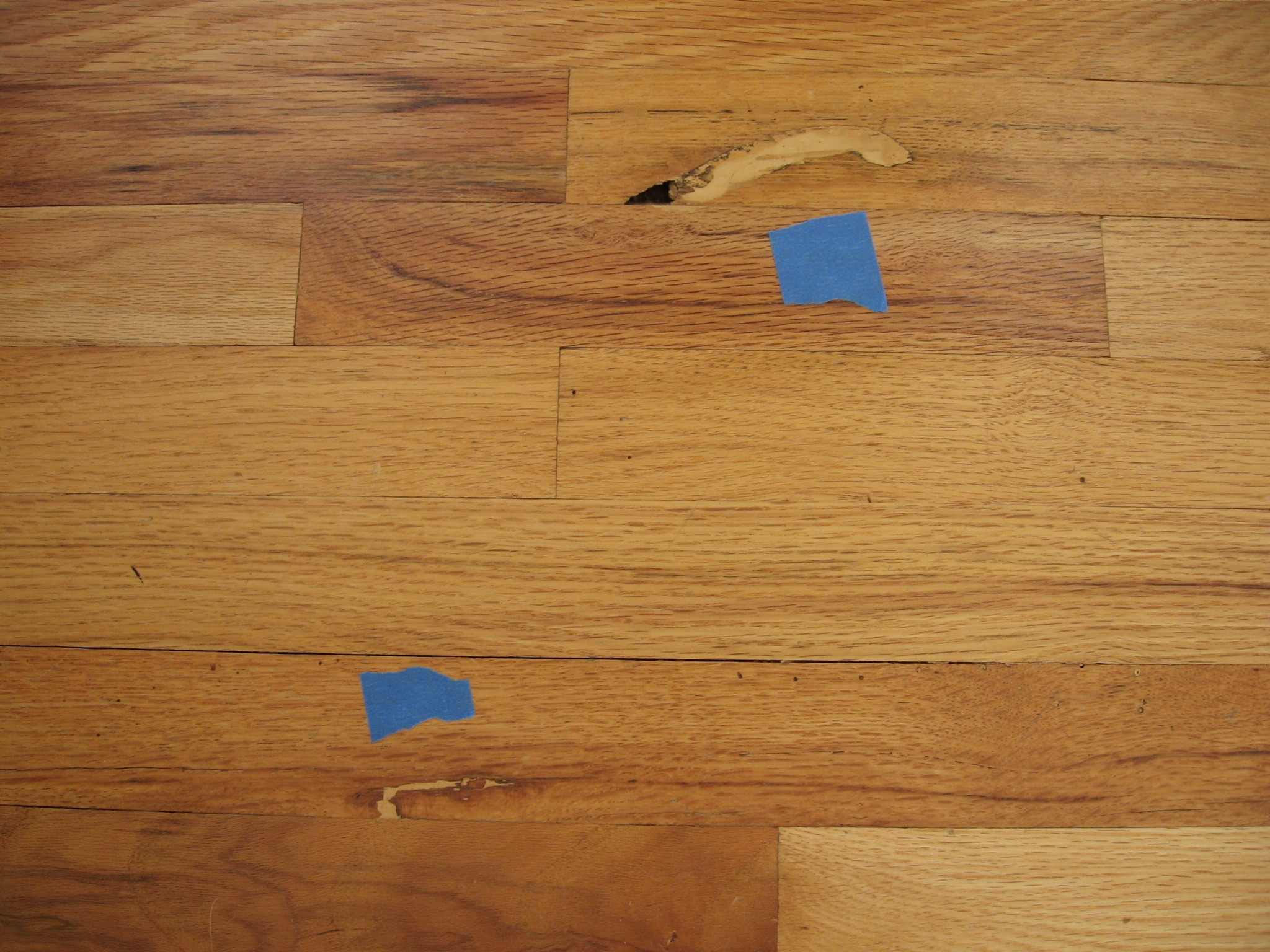 hardwood flooring layered stain samples maple of wood floor techniques 101 within filler bad