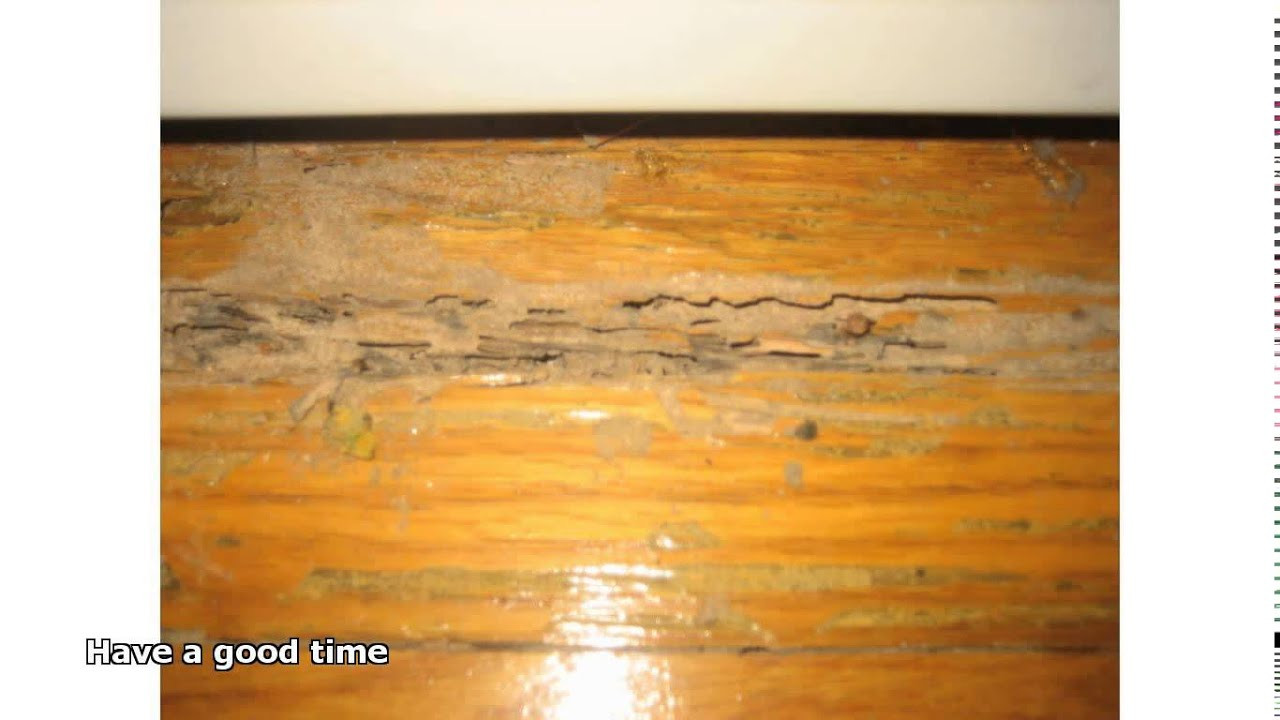 How Much It Cost to Refinish Hardwood Floors Of Cleaning Old Hardwood Floors Youtube with Regard to Cleaning Old Hardwood Floors
