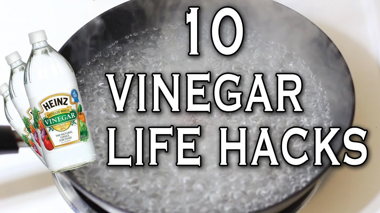 17 Cute How to Clean Hardwood Floors with Vinegar and Baking soda 2024 free download how to clean hardwood floors with vinegar and baking soda of 10 awesome vinegar life hacks you should know youtube with maxresdefault