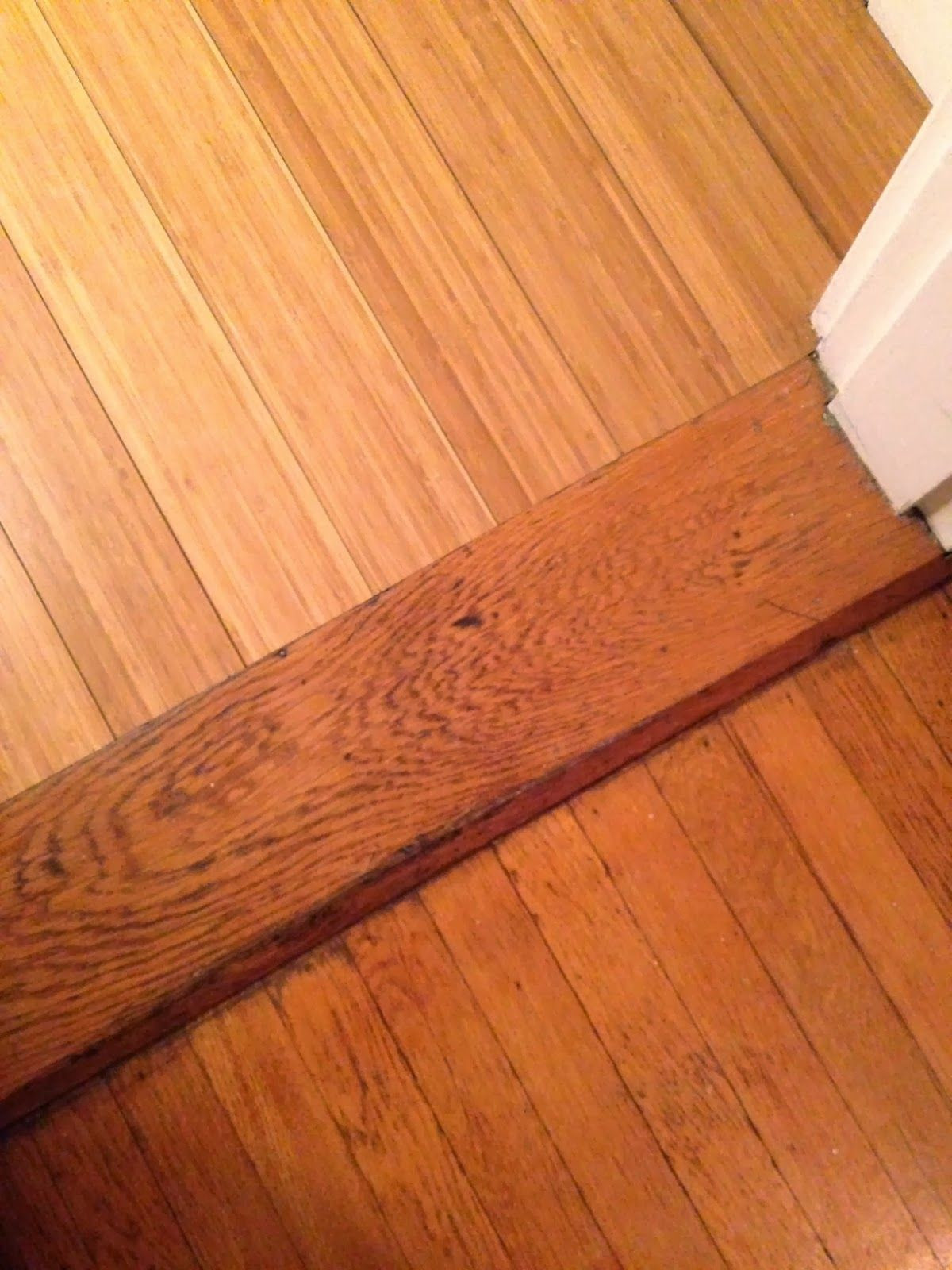 17 Lovable How to Install Hardwood Floor Threshold 2024 free download how to install hardwood floor threshold of have you ever seen a pretty transition between two distinctly regarding have you ever seen a pretty transition between two distinctly different har