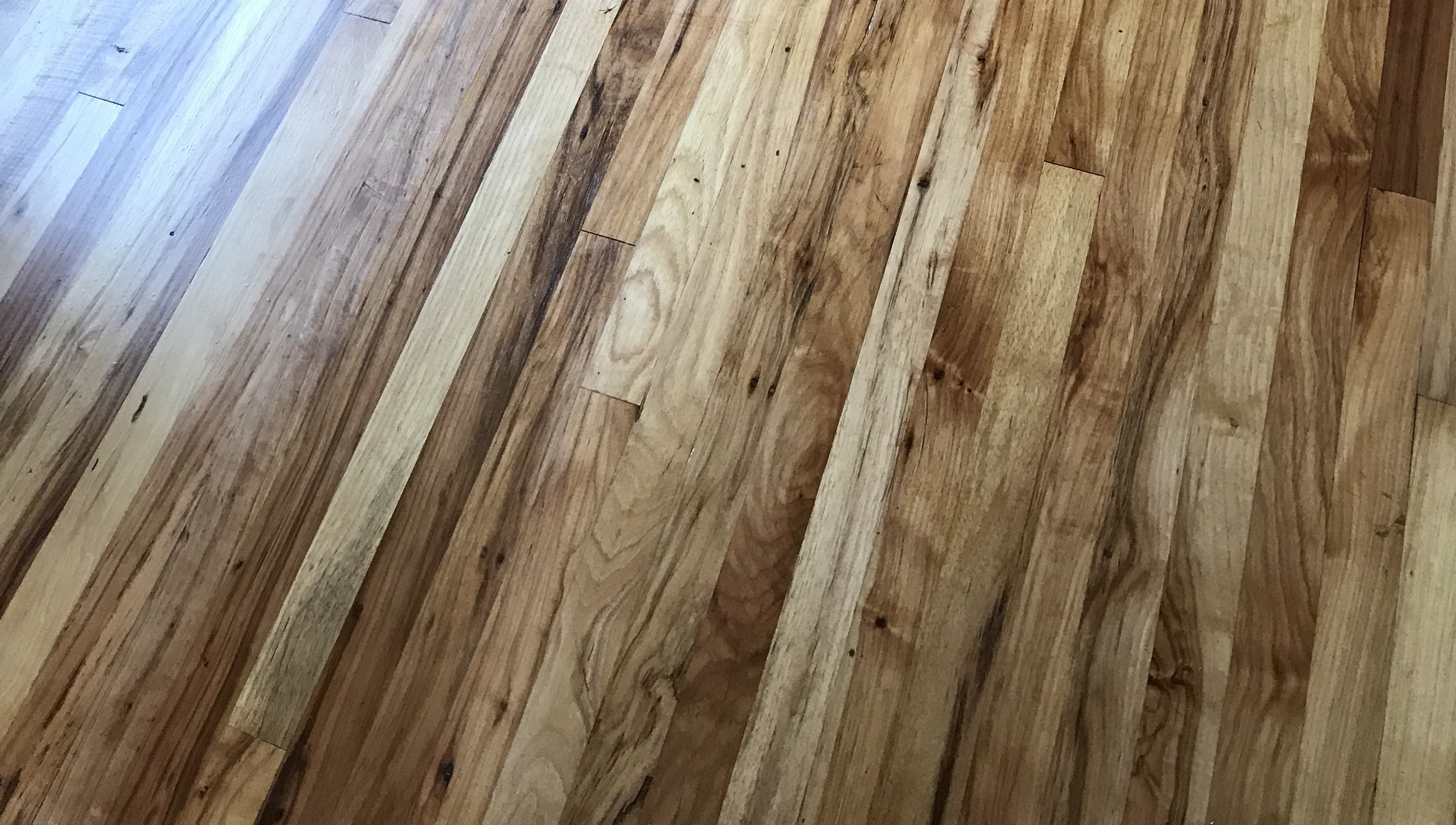 14 Lovely How to Refinish Hardwood Floors Easy 2024 free download how to refinish hardwood floors easy of refinishing hardwood floors carlhaven made intended for refinishing hardwood floors