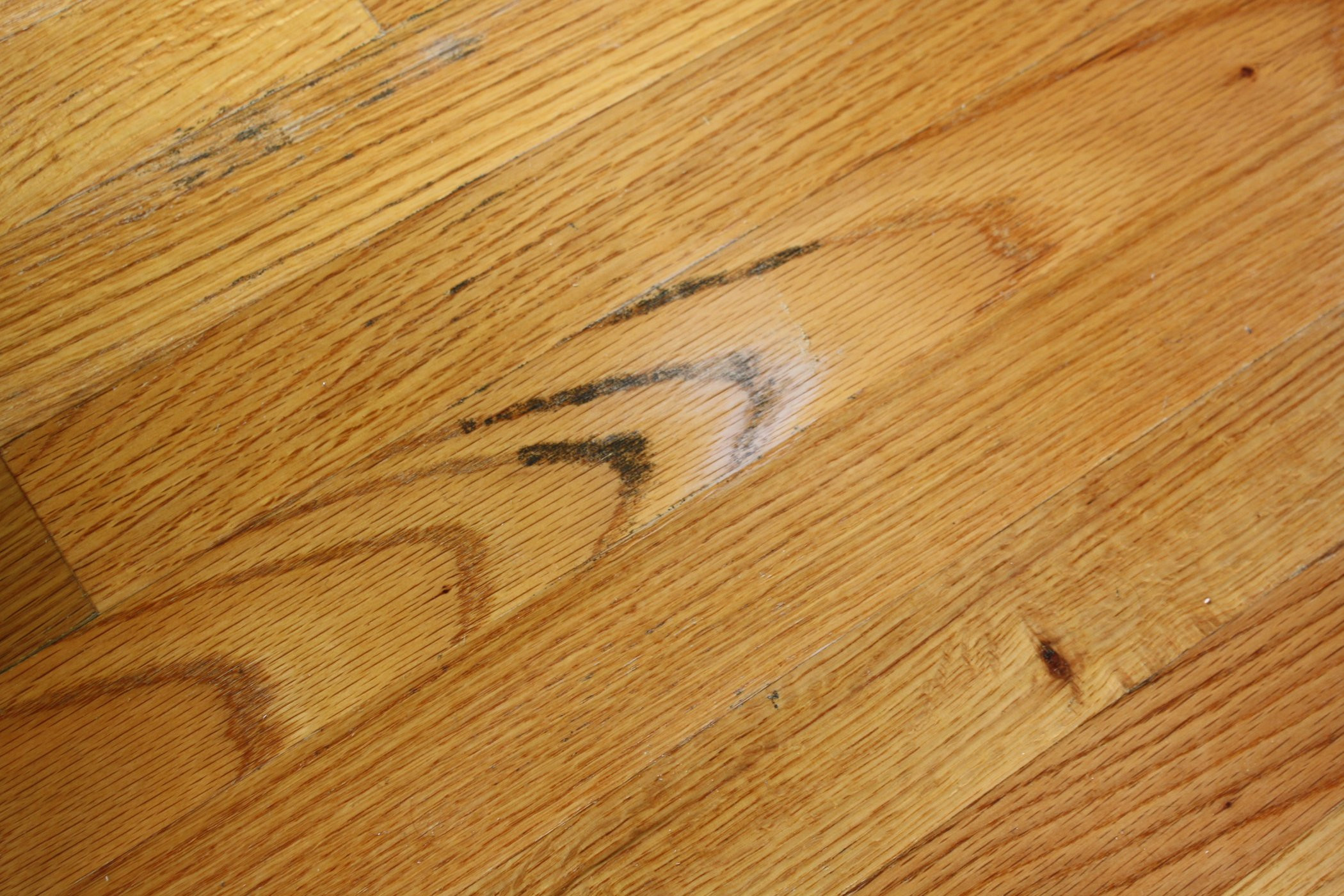 oak hardwood flooring per square foot of how to clean mold from a wood floor 4 steps intended for fylcmqyg7dyp6ds