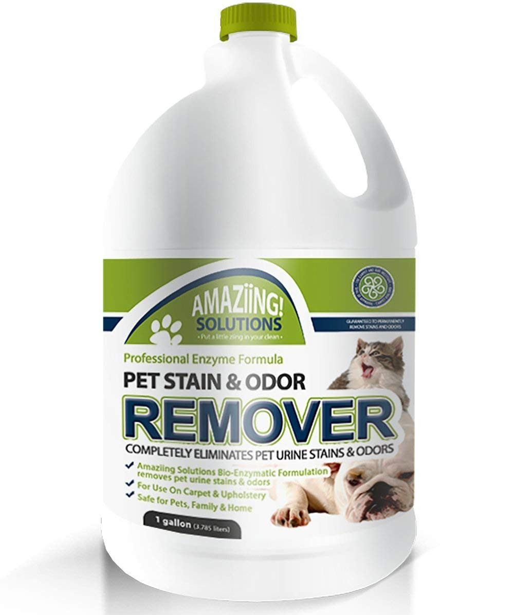 pet urine cleaner for hardwood floors of amazon com amaziing solutions pet odor eliminator and stain remover with regard to amazon com amaziing solutions pet odor eliminator and stain remover carpet cleaner for dog urine and cat pee professional strength enzymatic solution