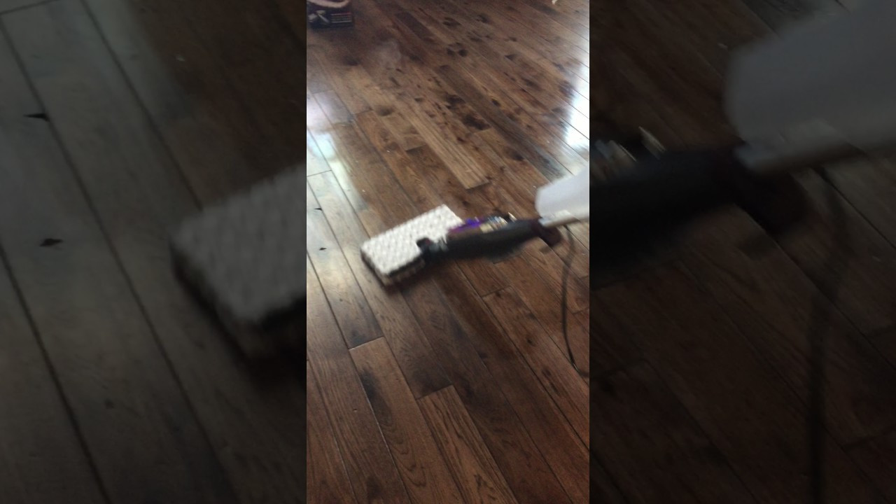 21 Stylish Shark Vacuum for Hardwood Floors 2024 free download shark vacuum for hardwood floors of shark genius steam pocket mop system in action youtube inside shark genius steam pocket mop system in action