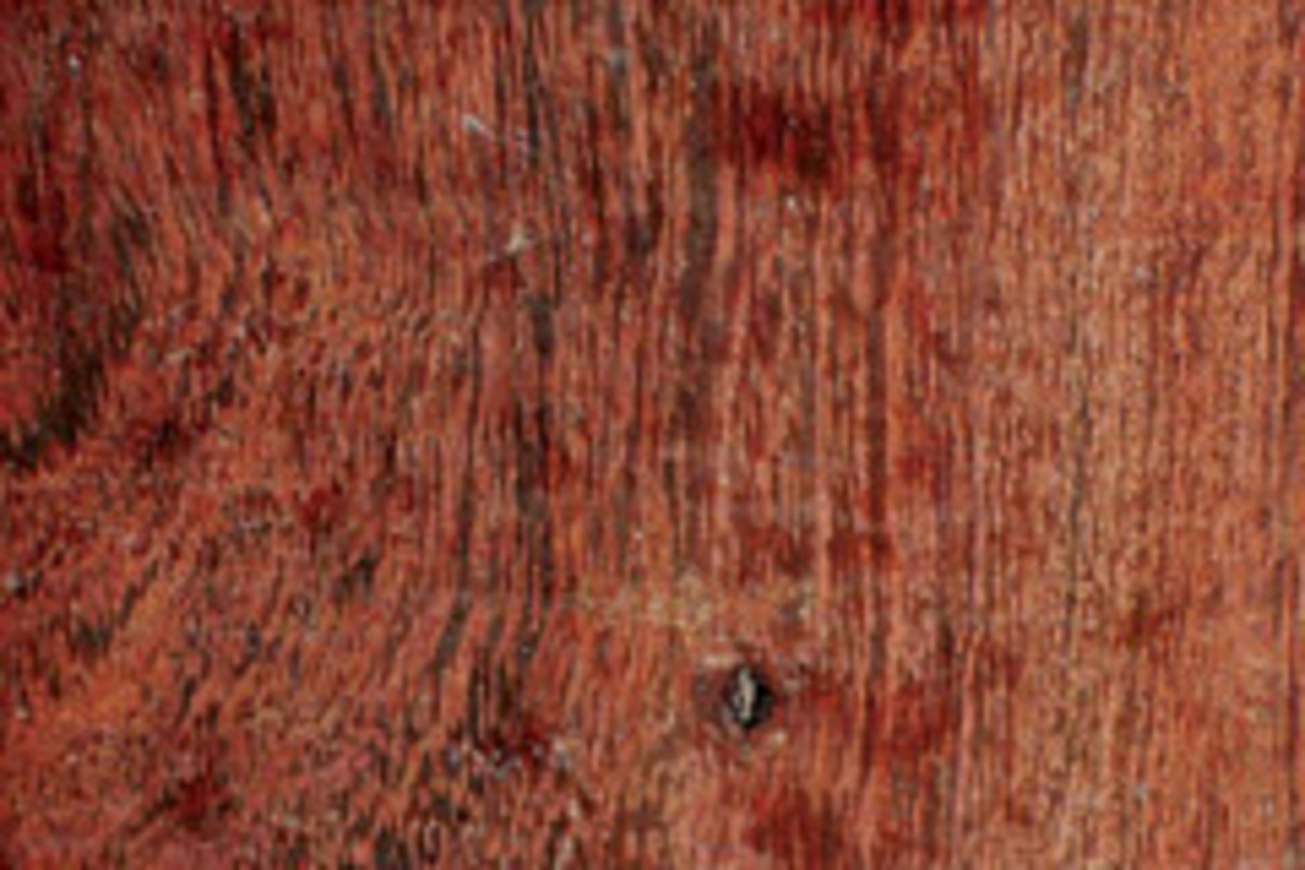 27 Wonderful Stonewood Acacia Hardwood Flooring 2024 free download stonewood acacia hardwood flooring of camel thorn considered stunning in color woodshop news inside image placeholder title