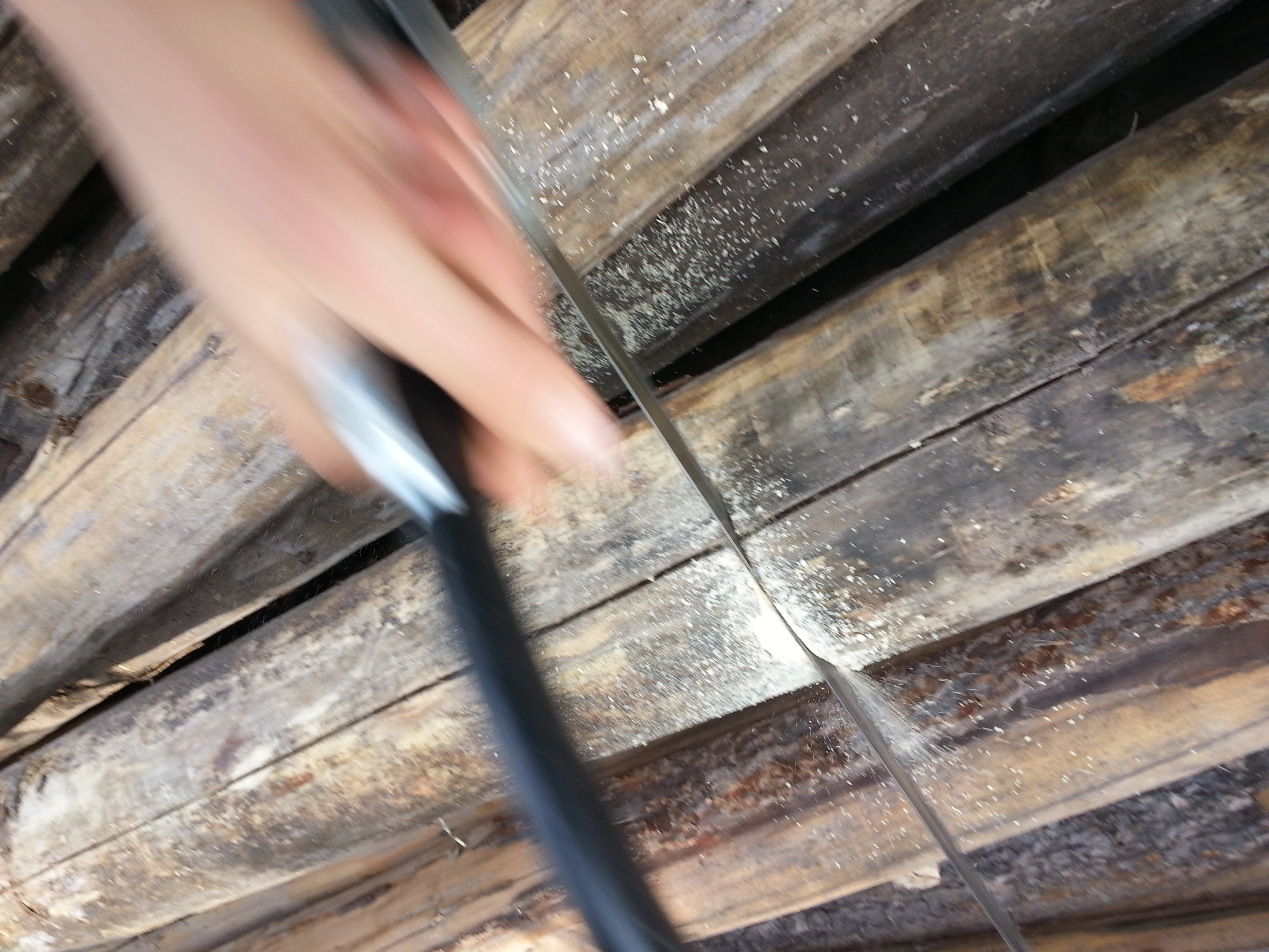 Trillium Hardwood Flooring Canada Of Evans Ant Village Log Wheaton Laboratories forum at Permies within Thumbnail for 20150501 165959