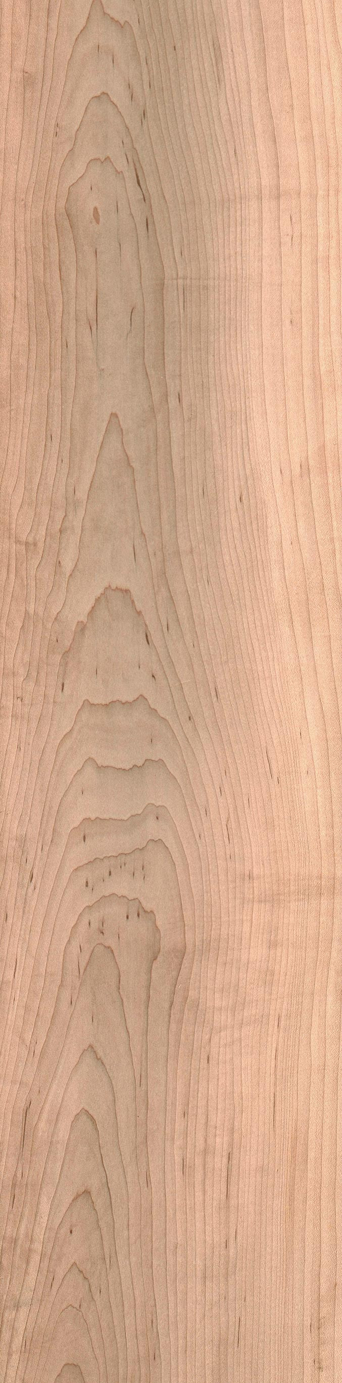 12 Nice Wormy Maple Hardwood Flooring 2024 free download wormy maple hardwood flooring of hard maple the wood database lumber identification hardwood within hard maple full